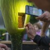 Principales Instituciones de Naturaleza y Vida Silvestre de Chicago se Comprometen a Salvar Especies en Peligro de Extinción para Revertir el Día Rojo