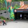 New Family-Friendly Festival Headlines Brookfield Zoo Chicago’s Spring Event Lineup