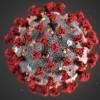 My Experience of the Great Covid Pandemic of 2020 to 2022