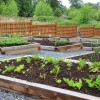 Community Garden Busca Candidatos Para la Temporada 2025