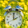 Consejos Para Ayudarte a Salir Adelante