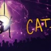 Paramount’s Circus-Themed Revival of Andrew Lloyd Webber’s Cats Promises to be a Jellicle Spectacle