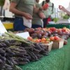 Citywide Chicago Farmers Markets & Maxwell Street Return