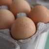 CDC Warns of Salmonella Outbreak Linked to Eggs