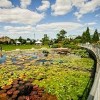 Garfield Park Conservatory Alliance Cultivates the Next Generation in Chicago Through Inclusive Youth Programs