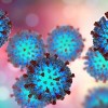 Cook County Launches Measles Awareness Toolkit