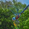 Exposición de Esculturas “Criaturas Vívidas” ya está abierta en el Arboreto Morton