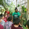 Garfield Park Conservatory and Gardens Is a Must-Add to Your Summer To-Do List