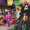 Reservas Forestales del Condado de Cook Invitan a todos a la Fiesta en las Reservas