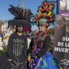 Brookfield Zoo Chicago Tendrá Una Ofrenda de Mascotas Queridas por el Día de los Muertos