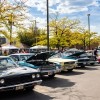 Eventos Populares de Otoño de Community Savings Bank