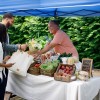 BofA Commits $250M to Address Hunger, Basic Needs for Families