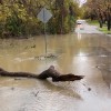 The City of Chicago, Cook County, to Appeal Denial of Federal Disaster Assistance