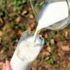 El Departamento de Salud Pública de Illinois (IDPH) Recuerda los Posibles Peligros del Consumo de Leche Cruda