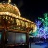ZooLights Brings the Holiday Spirit to Lincoln Park Zoo