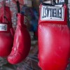 Rep. Ford, Roy Flowers Encourage Youth to Sign Up for Boxing Classes
