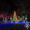 Not Your Typical ZooLights: Surprise Festive Friends Await Guests at Lincoln Park Zoo