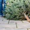 IDNR Recolecta Arboles de Navidad Desechados para el Hábitat de los Peces