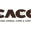 Ciudad de Chicago Nombra Nueva Directora Ejecutiva de Chicago Animal Care and Control