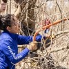 Shedd Aquarium, Partners Designate First-Ever Wetlands Week