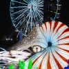 Glow Wild at Brookfield Zoo Chicago