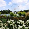 Spring Roars to Life at Brookfield Zoo Chicago with Can’t-Miss Experiences through May