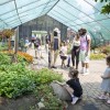 Brookfield Zoo Chicago Kicks Off Summer Fun