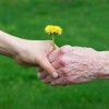 Illinois Recognizes Elder Abuse Awareness