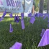 Illinois Reconoce la Concientización Sobre el Abuso a Personas Mayores