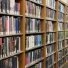 Giannoulias Lanza un Desafío de Lectura de Verano a Nivel Estatal