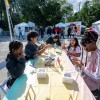 Taste of Chicago Begins