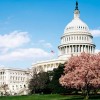 The Necessity for Age Limits for Public Office