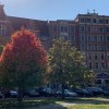 El Hospital Saint Anthony Nombra a un Nuevo Presidente de la Junta Directiva