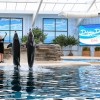 Lo Ultimo: Tu guía para el Día del Trabajo en Brookfield Zoo Chicago