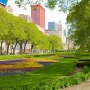 Los Habitantes de Chicago Ayudan a Decidir Cómo Mejorar Grant Park