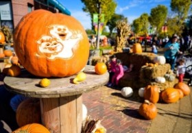 Lincoln Park Zoo Presents Fall Fest Lineup