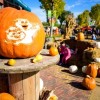 Lincoln Park Zoo Presents Fall Fest Lineup