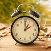 Adapt to Daylight Saving Time Changes