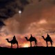 18th Annual Three Kings Day Winter Festival