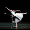 The Mystery of ‘Giselle’ Comes to Chicago