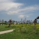 Restauración Ecológica en Northerly Island