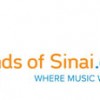Mount Sinai Hospital Chicago Launches ‘Sounds of Sinai’ Philanthropy Effort