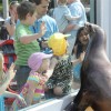 Días Gratis para los Niños en Brookfield Zoo