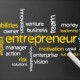 Become an Entrepreneur