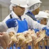 Trying to Keep the Poultry Workers Safe