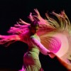 Heat Up Your Cold Nights with Flamenco Festival