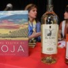 Cheese, Jámon, and Wine ‘Oh, My’ The Rioja Wine & Tapas Fest Takes Over Union Station