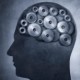 La Diabetes Puede Dañar el Cerebro, Aún Cuando esté Controlada con Medicina