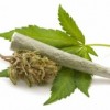 Medical Marijuana Research in the U.S. Just Got Easier