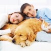 Animal Lovers Beware: Pets Can Pass Illnesses to Their Owners